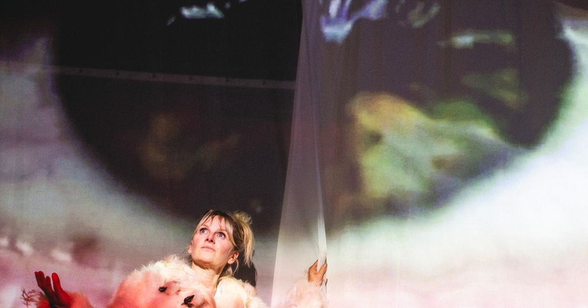An Miller, Koen Vanmechelen & Dimitri Leue — Ode aan de Verwondering